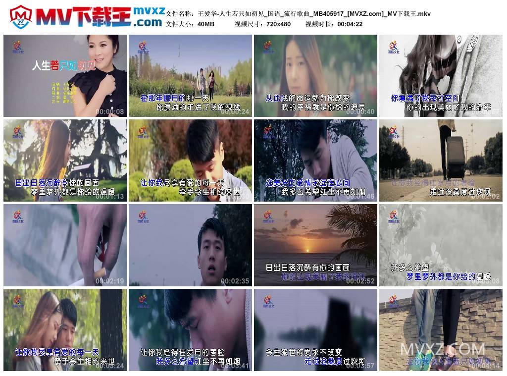王爱华-人生若只如初见_国语_流行歌曲_MB405917